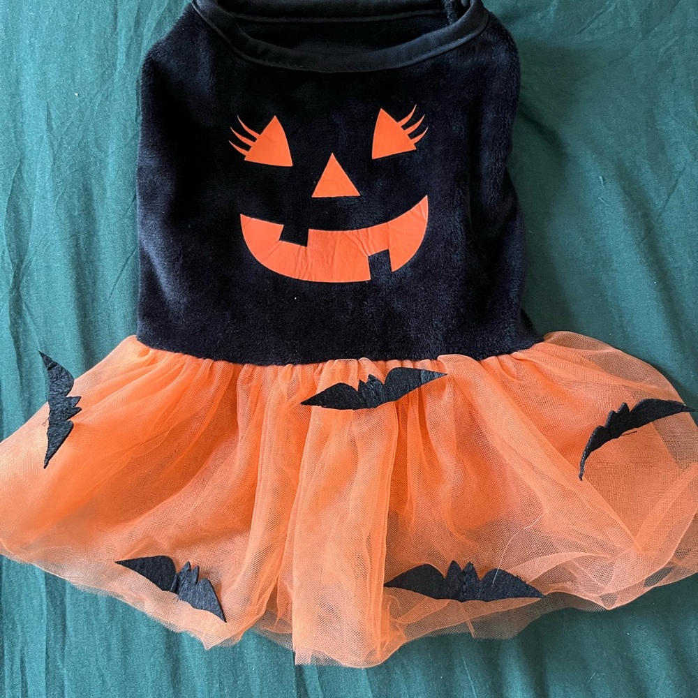 Halloween Pumpkin Tutu Costume for Dogs sz s